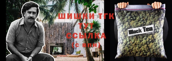 индика Новокубанск